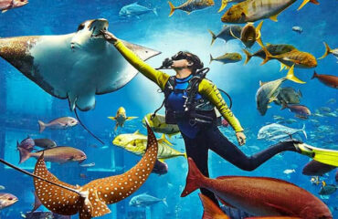 Atlantis Aquaventure Dubai