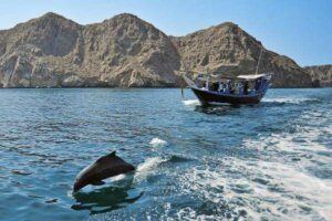 Oman Musandam Doplhins Tour