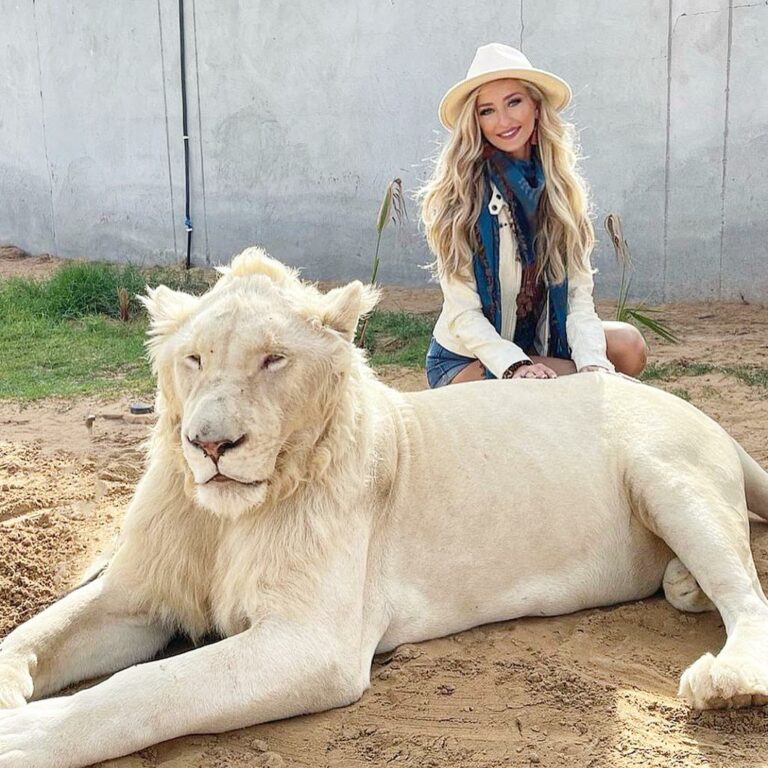 private zoo dubai lions