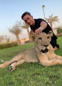 Zoo Dubai Lion