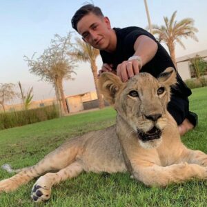 Zoo Dubai Lion