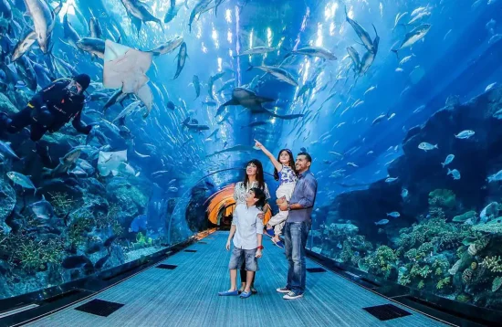 Dubai mall aquarium Rendez-vous dubai